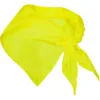AMARILLO 03