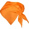 NARANJA 31
