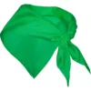 VERDE IRISH 24