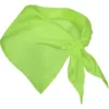 VERDE MANTIS 69