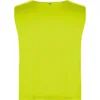 AMARILLO FLÚOR 221