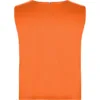 NARANJA FLÚOR 223