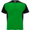 VERDE HELECHO/NEGRO 22602