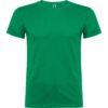 VERDE KELLY 20