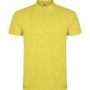 AMARILLO MAIZ 163