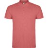 ROJO CRISANTEMO 262