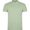 VERDE MIST 264