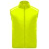 AMARILLO FLÚOR 221