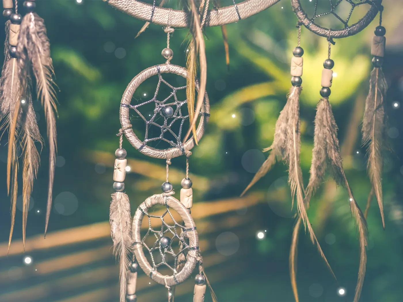 Boho.png