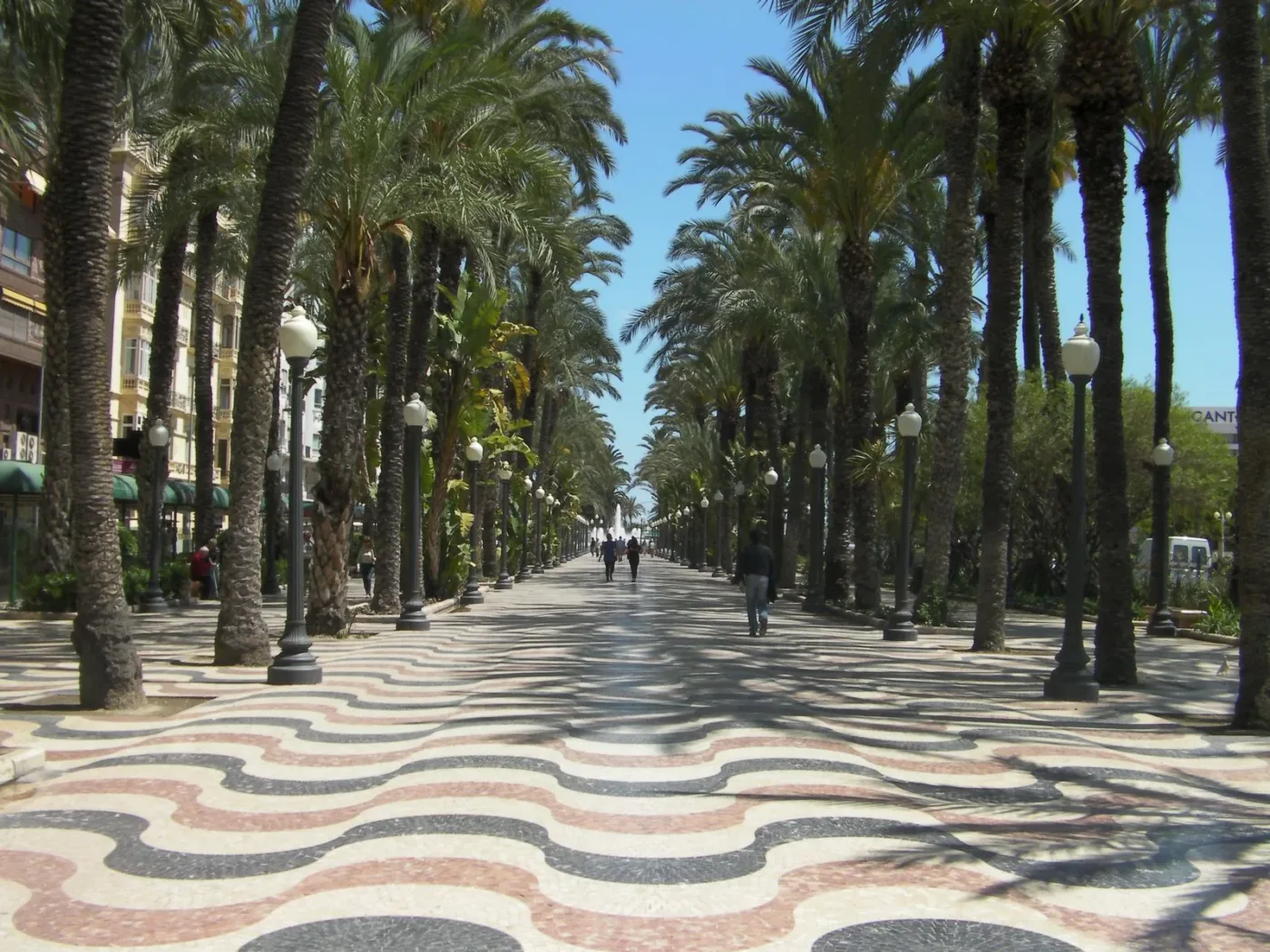 Explanada de Alicante jpg Explanada de Alicante