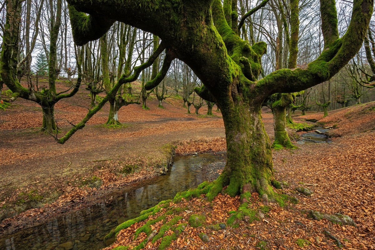personalizadas en Burgos