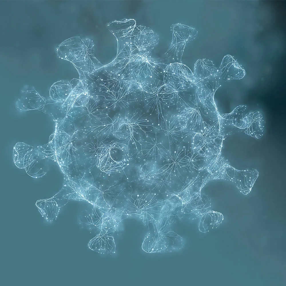 ejemplo de virus jpg webp