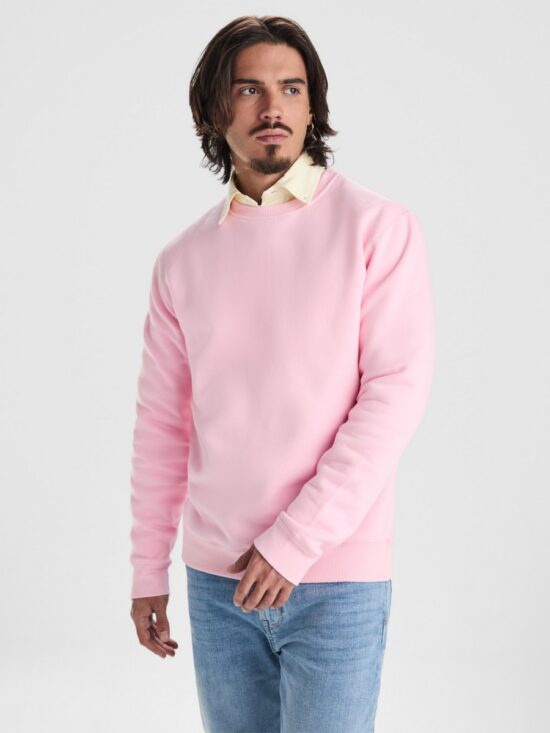 Sudadera Orgánica Roly Batian 1071 Unisex