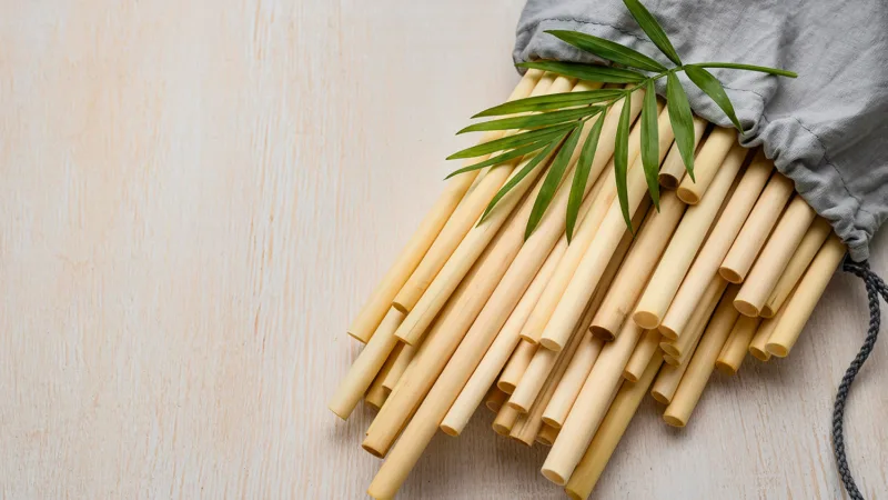 El Bambu una alternativa mas ecologica 1