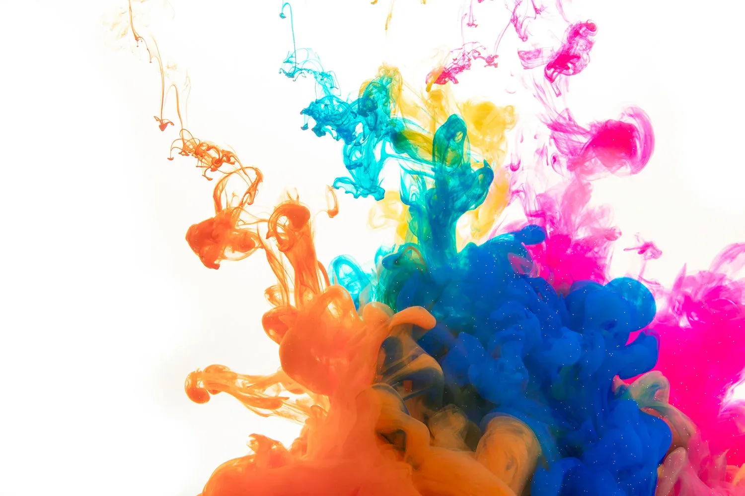 banner tintas ecologicas jpg webp
