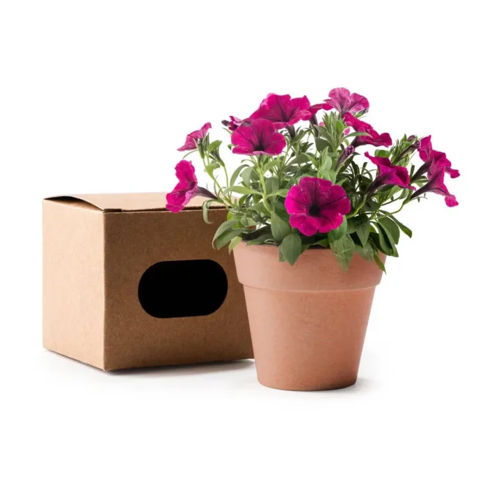 Maceta Biodegradable con Semillas de Petunia Stamina Volen 1000