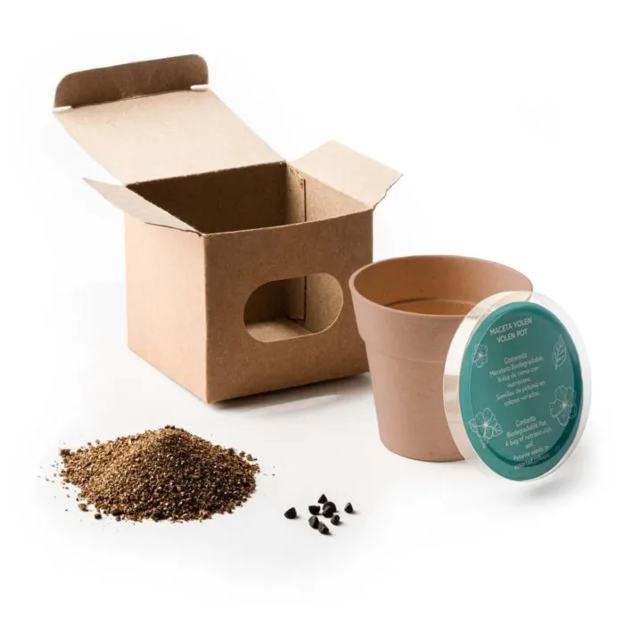 Maceta Biodegradable con Semillas de Petunia Stamina Volen 1000 - Imagen 2