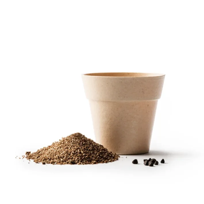 Maceta Biodegradable con Semillas de Petunia Stamina Volen 1000 - Imagen 3