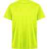 AMARILLO FLÚOR 221