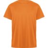 NARANJA 31