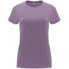 LAVANDA 268