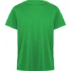 VERDE HELECHO 226