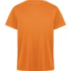 NARANJA 31