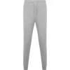 GRIS VIGORÉ 58