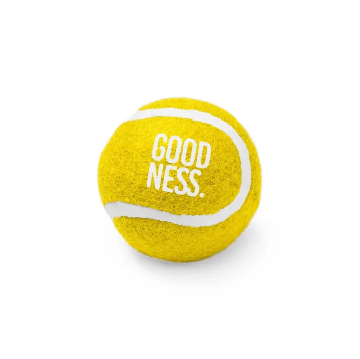 Pelota Para Mascotas Stamina Lanza 1020