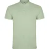 VERDE MIST 264
