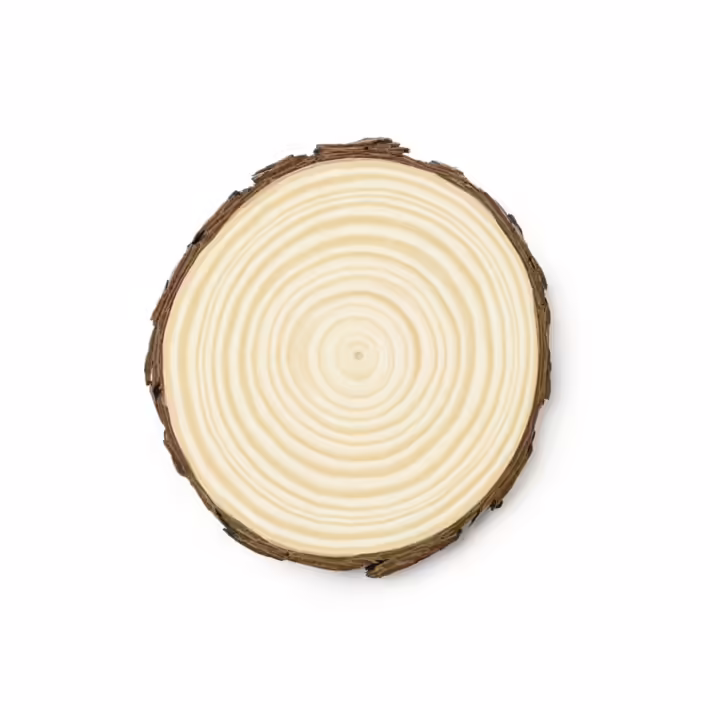 Set de 4 Posavasos de Madera de Pino Natural Stamina Pinea 4140 - Imagen 3