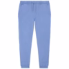 G. Dyed Swimmer Blue