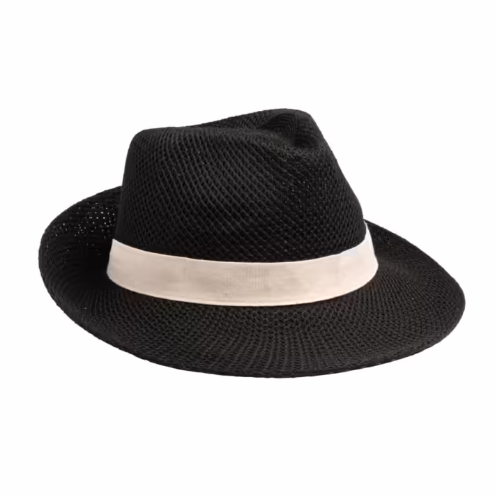 Cinta para Sombrero Stamina Gosy 1399 - Imagen 4