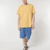 Nispero