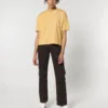 Nispero
