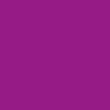 NEON BERRY 691