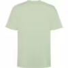 VERDE MIST 264