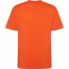 NARANJA FUEGO 316