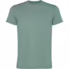 VERDE PATO LAVADO 806