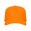 NARANJA 31