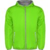 VERDE FLUOR 222