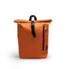 NARANJA 31