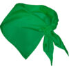 VERDE HELECHO 226